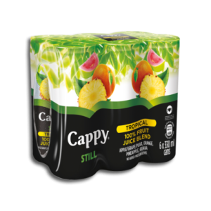 CAPPY CAN STILL JUICE TROP/PUNCH 6X330ML