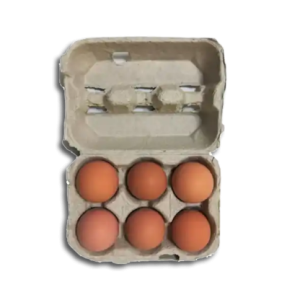 GOLDEN YOLK EGGS LARGE6S
